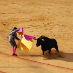 seville, bull fighting, bull, seville, seville, bull fighting, bull fighting, bull fighting, bull fighting, bull fighting, bull, bull